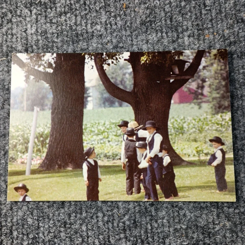 Amish Postcards Set of 3 Horse Buggy Farm Life John‎ M Zielinski Photography VTG